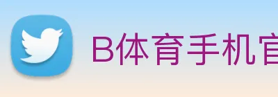 B体育手机官方网站入口 Logo